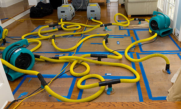 Professional Water Damage Repair technician working in Bankston, AL